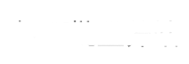 spinsini